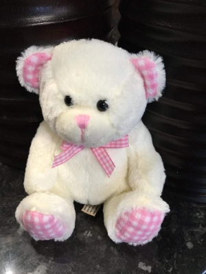 CUTE MINI BABY GIRL TEDDY