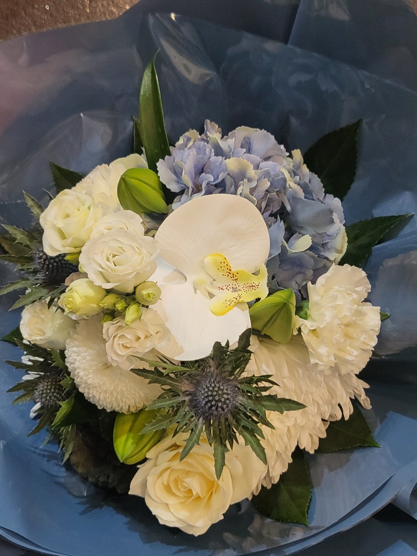 Lavenders Blue Floral Aqua Pack