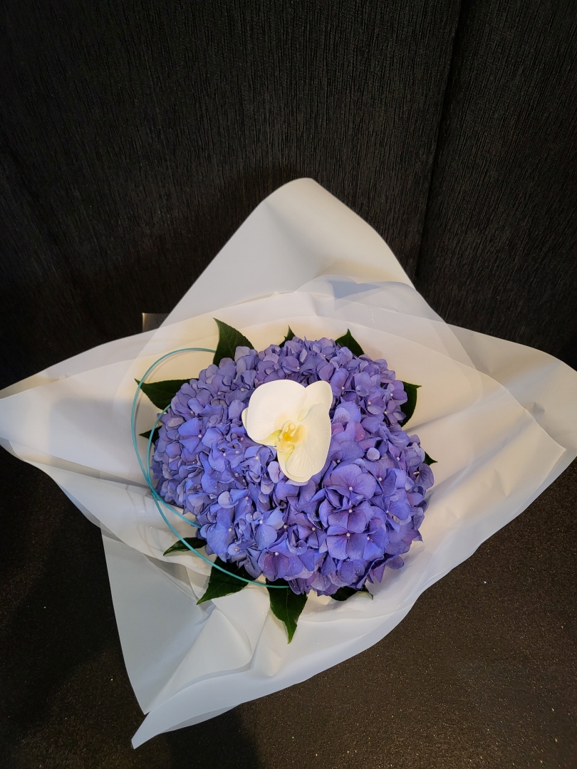 LUXURY HYDRANGEA AND ORCHID AQUAPACK