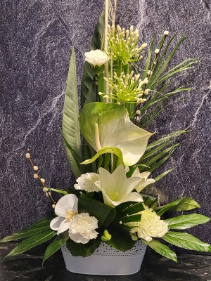 PIPE OF PEACE PURE WHITE ARRANGEMENT