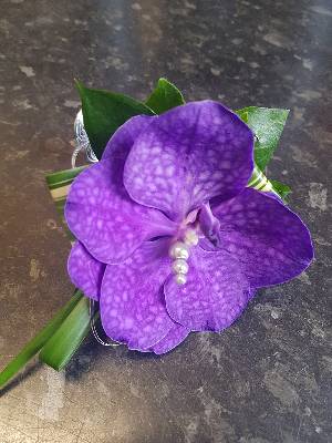 Purple Vanda Orchid