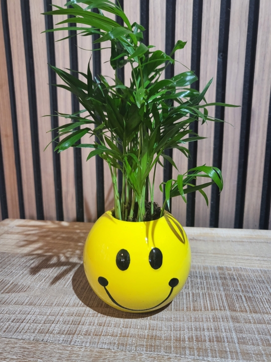 RETRO SMILEY FACE PLANTER