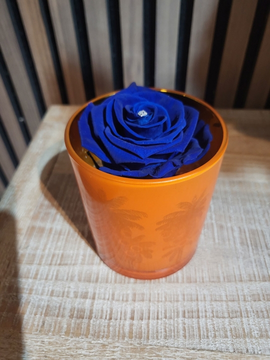 ROYAL BLUE EVERLASTING ROSE