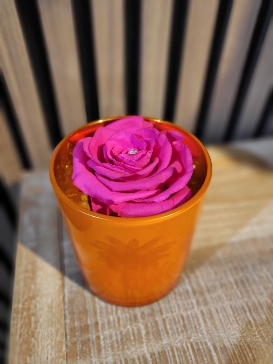 Vibrant Cerise Pink Everlasting Rose