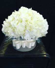 Divine Hydrangea