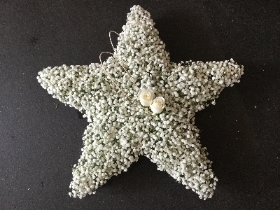 GORGEOUS DELICATE GYPSOPHLIA STAR