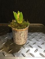 Palm pot with Hyacinth