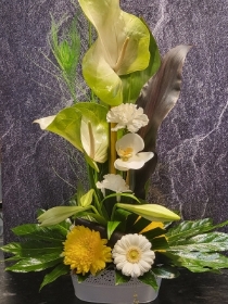 HOLY BANANAS BASKET DESIGN