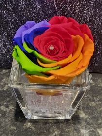 RAINBOW EVERLASTING ROSE IN GLASS VASE