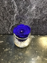 AMAZING EVERLASTING ROSE WHICH LASTS FOR OVER A YEAR! BLUE