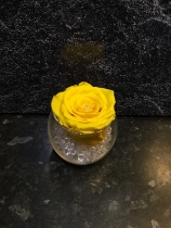 AMAZING EVERLASTING ROSE WHICH LASTS FOR OVER A YEAR! YELLOW