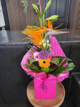 FLAMINGO FANFARE TROPICAL