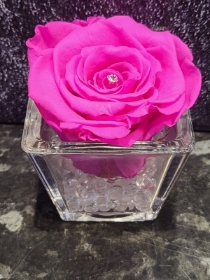 HOT CERISE PINK EVERLASTING ROSE IN GLASS VASE