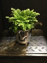 Ice Bucket pot with Fern