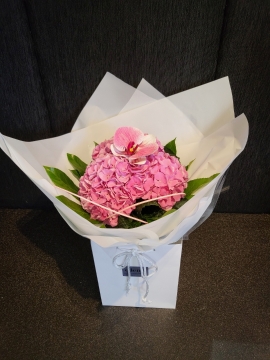 LUXURY HYDRANGEA AND ORCHID AQUAPACK