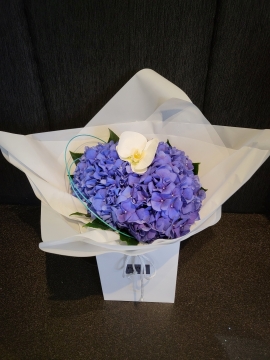LUXURY HYDRANGEA AND ORCHID AQUAPACK