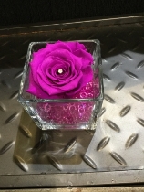 Purple everlasting rose in glass tank vase
