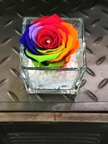 RAINBOW EVERLASTING ROSE IN CLEAR GLASS VASE
