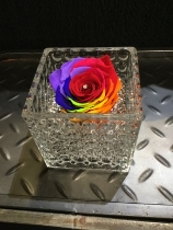 Rainbow everlasting rose in dimpled glass tank vase