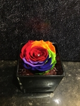 RAINBOW EVERLASTING ROSE WITH DIAMANTE FINISH