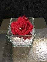 Red Everlasting Rose
