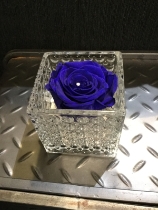 Royal blue everlasting rose in dimpled glass vase