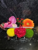 VIBRANT AUTUMN MILK CRATE DESIGN